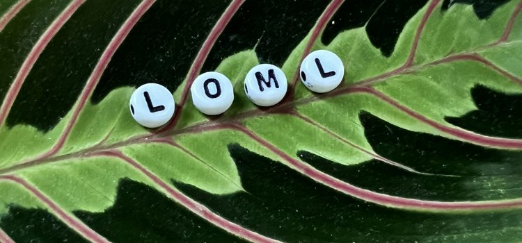loml
